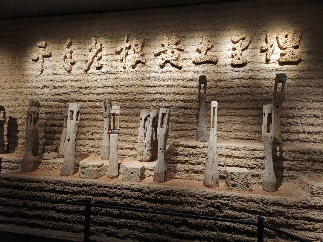 微信圖片_20230319140026.jpg 圖片